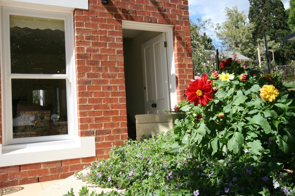 Annies Garden Cottage Hobart Esterno foto